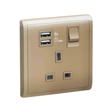 13A 1G Sw Socket with 2.1A USB ,WE ,WG